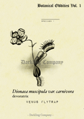 Venus Flytrap Print
