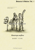 Ghost Pipe Print